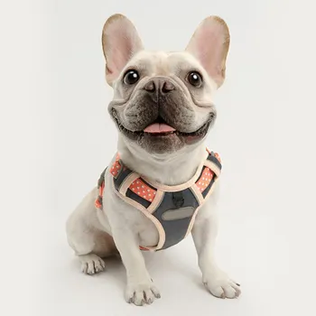 Pet Polyester Harness Dog Outdoor Polyester Harness Pet Chest Vest for Traction Rope Pet Walking Vest Training Strap for Dog
Pet Polyester Harness Dog Outdoor Polyester Harness Pet Chest Vest for Traction Rope Pet Walking Vest Training Strap for Dog