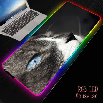 MRGBEST Hot Sell Extra Large Mouse Pad Animal cat blue eyes Gaming Mousepad Natural Rubber with Locking Edge Gaming Mouse Mat 
MRGBEST Hot Sell Extra Large Mouse Pad Animal cat blue eyes Gaming Mousepad Natural Rubber with Locking Edge Gaming Mouse Mat