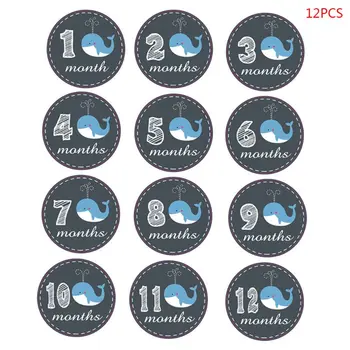 12pcs/set Excellent Memorize Reusable Cartoon Animal Newborn Month Sticker Baby Infants Monthly Photo Props
12pcs/set Excellent Memorize Reusable Cartoon Animal Newborn Month Sticker Baby Infants Monthly Photo Props