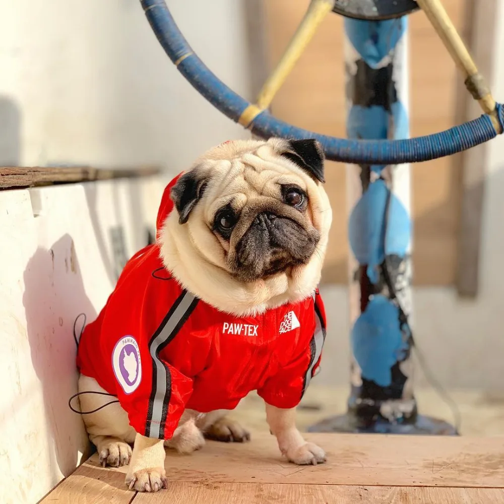 Pug Pupreme Dog Clothes Devil/Unicorn Hype Dog Hoodie Supreme Dog