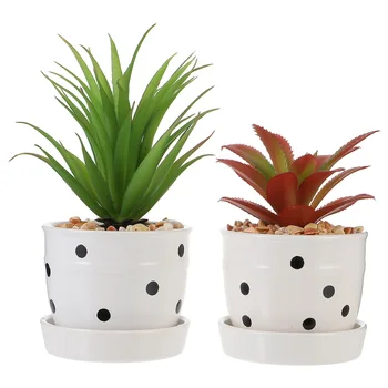 2Pcs Nordic Style Potted Plants Fake Agave Gladiolus Lifelike Potted Plants for Factory School Office Homes
2Pcs Nordic Style Potted Plants Fake Agave Gladiolus Lifelike Potted Plants for Factory School Office Homes
