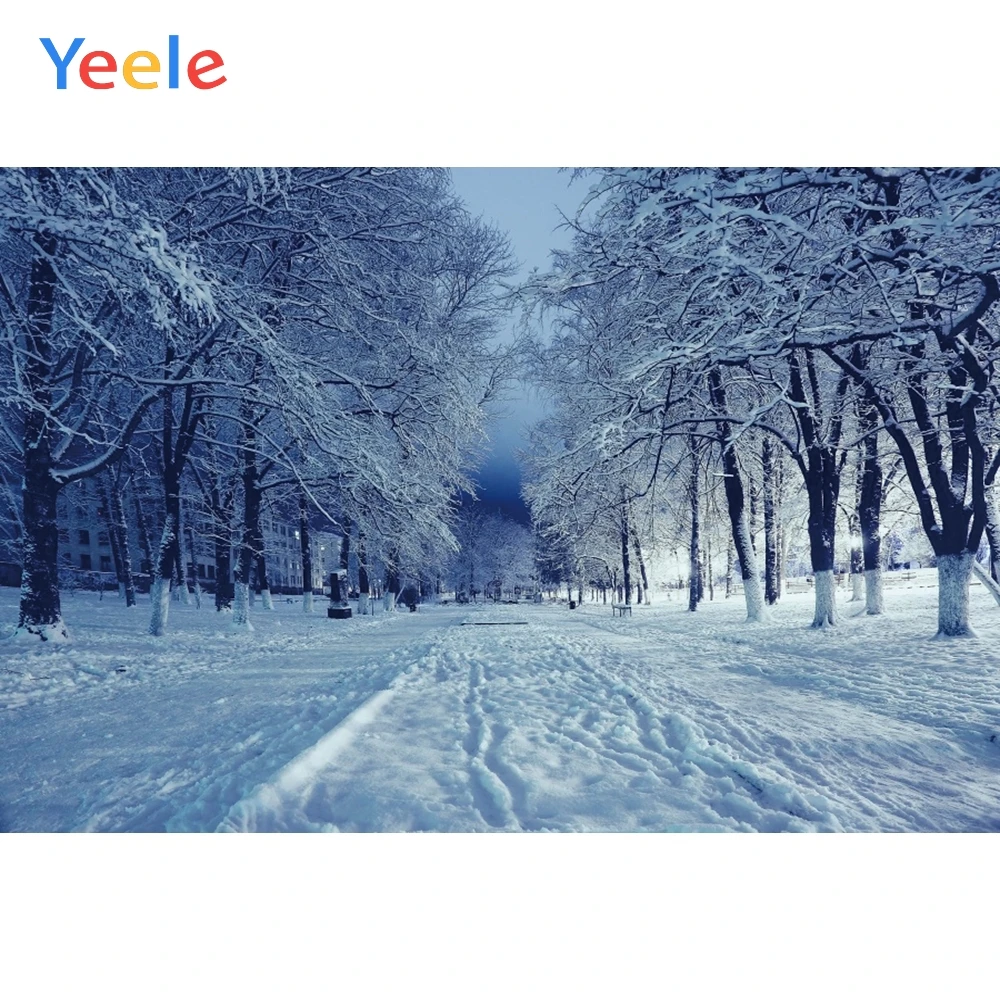 Winter Forest Snowflake Road Moonlight View Home Decoration Backdrop Photography Custom Photographic Background For Photo Studio
Winter Forest Snowflake Road Moonlight View Home Decoration Backdrop Photography Custom Photographic Background For Photo Studio