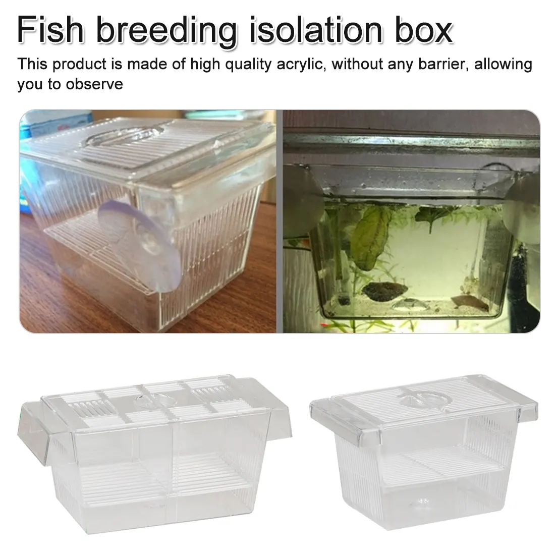 Aquarium Transparent Double Bowl Fighting Fish Mini House Incubator Box For Fry Isolation Hatchery Reptile Cage Turtle House
Aquarium Transparent Double Bowl Fighting Fish Mini House Incubator Box For Fry Isolation Hatchery Reptile Cage Turtle House
