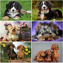 5D Diamond Painting Full Square Round Cat Diamond Embroidery Animal Mosaic Cross Stitch Rhinestone Pictures Christmas Decoration
5D Diamond Painting Full Square Round Cat Diamond Embroidery Animal Mosaic Cross Stitch Rhinestone Pictures Christmas Decoration