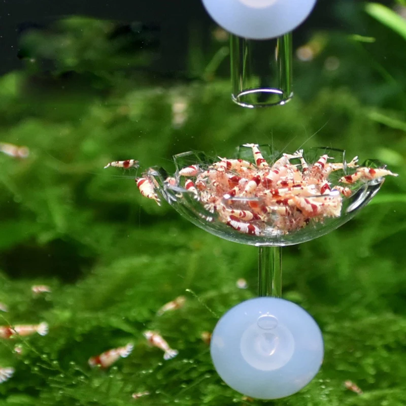 

Aquarium Fish Shrimp Feeding Dish Clear Acrylic Flower Shape Shrimp Feeder Food Basin with Suction Cup Fish Tank Accessories