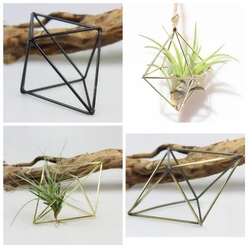 Hanging Planters Geometric Swing Wrought Iron Tillandsia Air Plants Holder Triangular Shaped Metal Rack
Hanging Planters Geometric Swing Wrought Iron Tillandsia Air Plants Holder Triangular Shaped Metal Rack