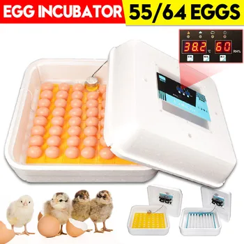 Egg Incubator Home Fully Automatic Brooder Farm Hatchery Machine 55/64 Eggs Poultry Chicken Duck Hatcher with Automatic Turning
Egg Incubator Home Fully Automatic Brooder Farm Hatchery Machine 55/64 Eggs Poultry Chicken Duck Hatcher with Automatic Turning