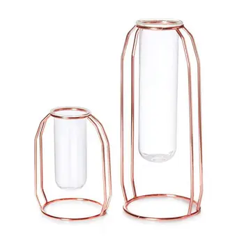 Vases Set of 2 Metal Flower Vase Glass Vase Planter Terrariums Gold Vases Vase Plant Glass Vases Cylinder Vases for Decor Clear 
Vases Set of 2 Metal Flower Vase Glass Vase Planter Terrariums Gold Vases Vase Plant Glass Vases Cylinder Vases for Decor Clear