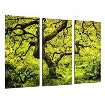 Tree Japanese Autumn Nature, tree Trunk and Branches Green, photo print on wood, modern picture decorative 26979
Tree Japanese Autumn Nature, tree Trunk and Branches Green, photo print on wood, modern picture decorative 26979