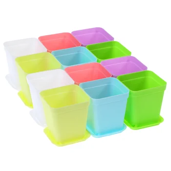 24Pcs Pots Colorful Plastic Pots Small Pots Lovely Pot Plant Pot for Garden Home Office
24Pcs Pots Colorful Plastic Pots Small Pots Lovely Pot Plant Pot for Garden Home Office