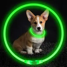 Pet Flashing Collar USB Rechargeable Glowing Necklace Safety Collar Light Up Collars for Night Walking Electric Dog Collar Neon