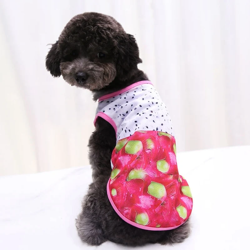summer clothes for dog.jpg