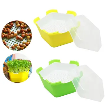 Plant Germination Tray Portable Moisture Proof Planting Box Multifunctional Sprouting Seeds Tray With Cover Gardening
Plant Germination Tray Portable Moisture Proof Planting Box Multifunctional Sprouting Seeds Tray With Cover Gardening
