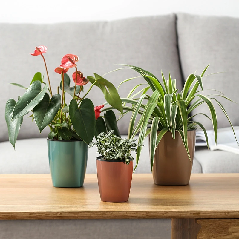 Lazy Plastic Flowerpot Automatic Water-Absorbing Basin Green Plant Balcony Office Home Fleshy Creative Flowerpot Factory Outlet
Lazy Plastic Flowerpot Automatic Water-Absorbing Basin Green Plant Balcony Office Home Fleshy Creative Flowerpot Factory Outlet