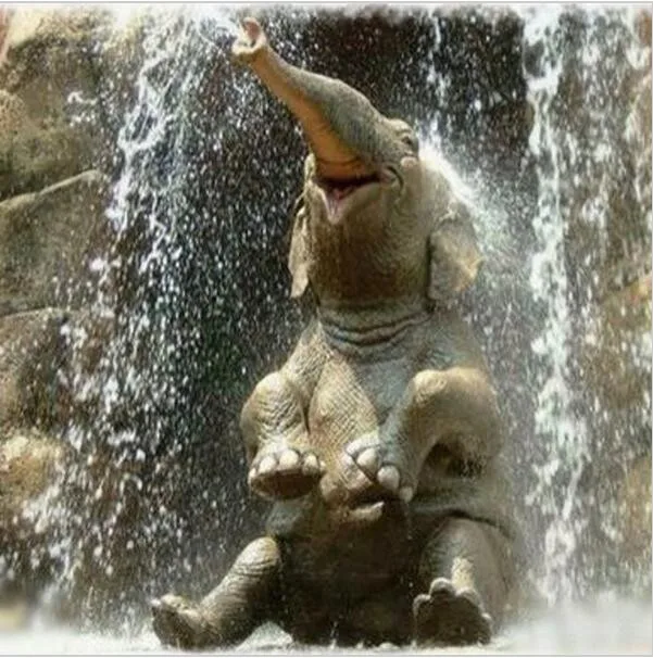 3D Diy diamond painting full drill rhinestone mosaic Handmade needlework elephant in bath pictures Diamond embroidery | Дом и сад