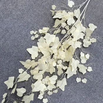 Long branch simulation grape leaves Indoor ceiling decoration green plants Plant wall decoration simulation leaves 
Long branch simulation grape leaves Indoor ceiling decoration green plants Plant wall decoration simulation leaves