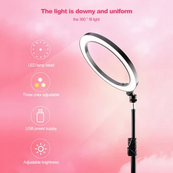 16cm LED Ring Light Lamp Selfie Camera Phone Studio Stand Video Dimmable Ring Light NC99
16cm LED Ring Light Lamp Selfie Camera Phone Studio Stand Video Dimmable Ring Light NC99