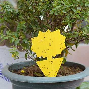 20pcs Pest Sticky Insect Trap Bug Strong Sticking To Aphids Outdoor Bait Double Trap Fly Board Practical Household Tool
20pcs Pest Sticky Insect Trap Bug Strong Sticking To Aphids Outdoor Bait Double Trap Fly Board Practical Household Tool