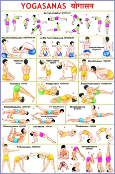 Yoga Pose Exercise Poster – Premium Instructional Beginner’s Chart for Sequences & Flow - Sanskrit & English Names 
Yoga Pose Exercise Poster – Premium Instructional Beginner’s Chart for Sequences & Flow - Sanskrit & English Names