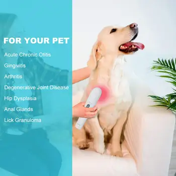 Veterinary Laser Pain Therapy Device Cold Laser Health Monitor Diminish Inflammation Pain Relief on Pet Dogs Cats Horses
Veterinary Laser Pain Therapy Device Cold Laser Health Monitor Diminish Inflammation Pain Relief on Pet Dogs Cats Horses