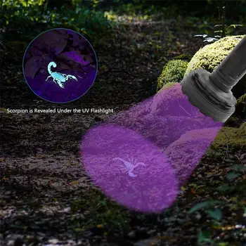 Topcom 395nm UV Light Powerful LED UV Flashlight Portable Various Types LED UV Torch Light Catch Scorpion Detector Animal Urine
Topcom 395nm UV Light Powerful LED UV Flashlight Portable Various Types LED UV Torch Light Catch Scorpion Detector Animal Urine
