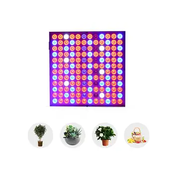 110V 220V Plant Grow lights Full Spectrum Flower 25W 45W LED Hanging Phyto Lamp for Greenhouse Hydroponic with EU US Plug
110V 220V Plant Grow lights Full Spectrum Flower 25W 45W LED Hanging Phyto Lamp for Greenhouse Hydroponic with EU US Plug
