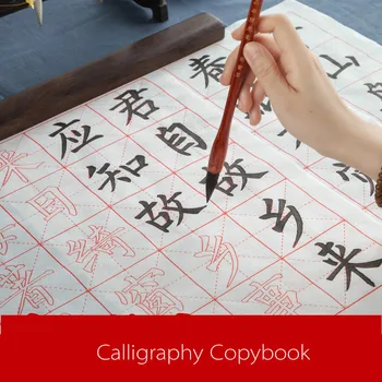 Chinese Medium Regular Script Calligraphy CopyBook Ouyang Xun Yan Zhenqing Character Basic Stroke of Practice for Beginners
Chinese Medium Regular Script Calligraphy CopyBook Ouyang Xun Yan Zhenqing Character Basic Stroke of Practice for Beginners