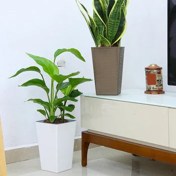High-End Brick Pattern Office Flower Pot Imitation Metal Plastic Flower Pot Square And Tall Type For Gardening Potted Plants
High-End Brick Pattern Office Flower Pot Imitation Metal Plastic Flower Pot Square And Tall Type For Gardening Potted Plants