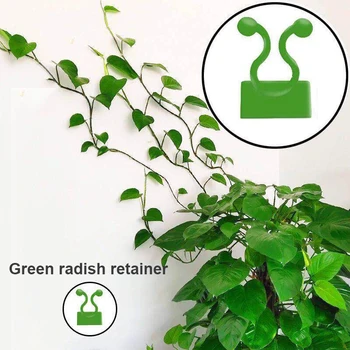 50pcs Invisible Green Wall Rattan Clamp Clip Wall Vine Climbing Sticky Hook Rattan Fixed Clip Bracket Plant Cages & Supports
50pcs Invisible Green Wall Rattan Clamp Clip Wall Vine Climbing Sticky Hook Rattan Fixed Clip Bracket Plant Cages & Supports