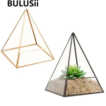 Modern Glass Terrarium Storage Box Glass Jewelry Holder Pyramid Tabletop Succulent Plant Terrarium Box(No Plant)
Modern Glass Terrarium Storage Box Glass Jewelry Holder Pyramid Tabletop Succulent Plant Terrarium Box(No Plant)