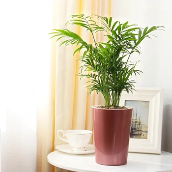 Self Watering Planter Violet Pots Lazy Flower Pot Automatic-Watering Planter Flower Pot 2021 Popular
Self Watering Planter Violet Pots Lazy Flower Pot Automatic-Watering Planter Flower Pot 2021 Popular