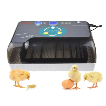 12 Eggs Automatic Hatchery Incubator Brooder Machine Farm Egg Hatchers Bird Quail Newest Chicken Temperature Control Breeding
12 Eggs Automatic Hatchery Incubator Brooder Machine Farm Egg Hatchers Bird Quail Newest Chicken Temperature Control Breeding