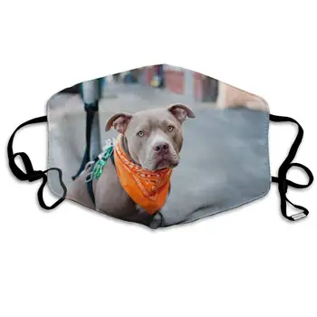 Sorrowful Dog Anti Dust Mask, Party Outdoor Cool Cotton Mouth Mask for Kids Teens Men Women with Adjustable Ear Loops 
Sorrowful Dog Anti Dust Mask, Party Outdoor Cool Cotton Mouth Mask for Kids Teens Men Women with Adjustable Ear Loops