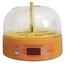 Mini Digital 6 Eggs Incubator Automatic Temperature Brooder Chicken Duck Bird Egg Hatcher Farm Poultry Hatchery Machine
Mini Digital 6 Eggs Incubator Automatic Temperature Brooder Chicken Duck Bird Egg Hatcher Farm Poultry Hatchery Machine