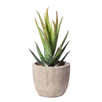 Plastic Simulation Succulent Potted Multi-function Flowerpot Tree Ball Home Office Decoration Fake Potted Plants
Plastic Simulation Succulent Potted Multi-function Flowerpot Tree Ball Home Office Decoration Fake Potted Plants