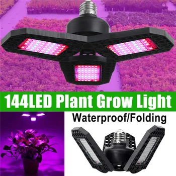 500W Foldable 144LEDs E27 Fan Shape Warm Lights Full Spectrum LED Grow Lights Sunlight Growing Lamp for Greenhouse Plants
500W Foldable 144LEDs E27 Fan Shape Warm Lights Full Spectrum LED Grow Lights Sunlight Growing Lamp for Greenhouse Plants