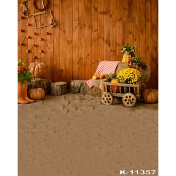 Autumn Wooden Board Pumpkin Haystack Harvest Photography Backgrounds Customized Photographic Backdrops For Photo Studio
Autumn Wooden Board Pumpkin Haystack Harvest Photography Backgrounds Customized Photographic Backdrops For Photo Studio