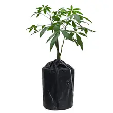Plant Anti-Freeze Cover With Zipper Design Rust Resistant Plant Cover Tree Blanket Jacket Protection Cloth For Potted Plants
Plant Anti-Freeze Cover With Zipper Design Rust Resistant Plant Cover Tree Blanket Jacket Protection Cloth For Potted Plants