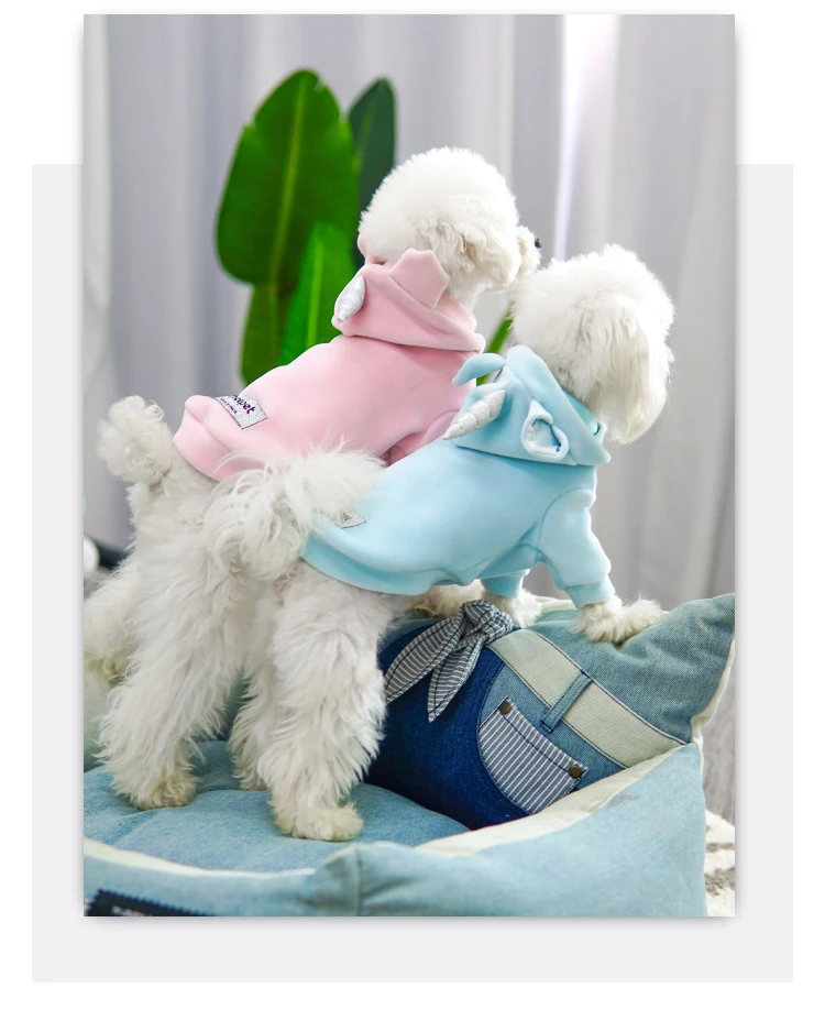 Reusable Unicorn Lovely Cloth For Your Dog Reusable Unicorn Lovely Cloth For Your Dog