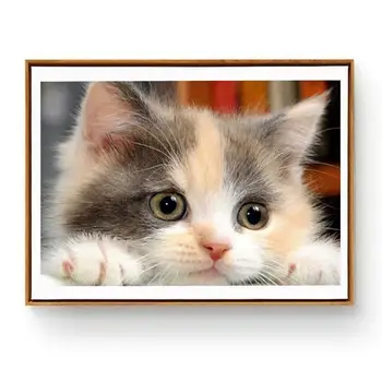 Cute Kitten Diamond Painting Star Full Square Drill Diy Diamond Painting Embroidery Cross Stitch Rhinestone Mosaic Decor
Cute Kitten Diamond Painting Star Full Square Drill Diy Diamond Painting Embroidery Cross Stitch Rhinestone Mosaic Decor