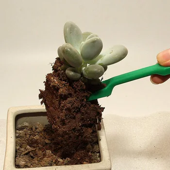 7Pcs Succulent Transplanting Tool Fairy Garden Planting Hand Tools Set Watering Bottle Shovel Tweezer For Succulent Plants
7Pcs Succulent Transplanting Tool Fairy Garden Planting Hand Tools Set Watering Bottle Shovel Tweezer For Succulent Plants