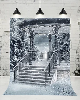 VinylBDS WIinter Snow Stairs Flight Photography Backdrop Wedding Outdoor Photo Studio Background for Children Props
VinylBDS WIinter Snow Stairs Flight Photography Backdrop Wedding Outdoor Photo Studio Background for Children Props