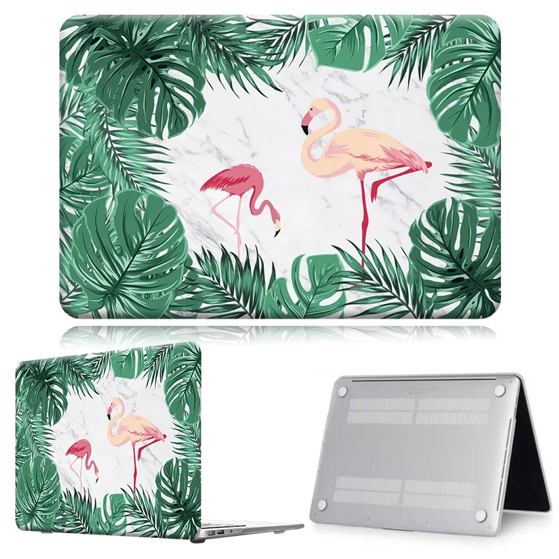 Flamingo002