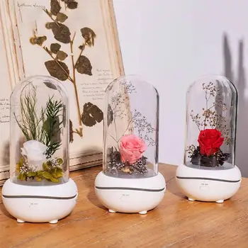 Adoolla USB Charging 7 Colors Change Preserved Flower Aromatherapy Diffuser Humidifier Essential Oil Mist Maker
Adoolla USB Charging 7 Colors Change Preserved Flower Aromatherapy Diffuser Humidifier Essential Oil Mist Maker