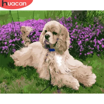 HUACAN DIY Painting By Numbers Animal Hand Painted Paintings Art Drawing On Canvas Gift Pictures By Number Dog Kits Home Decor 
HUACAN DIY Painting By Numbers Animal Hand Painted Paintings Art Drawing On Canvas Gift Pictures By Number Dog Kits Home Decor