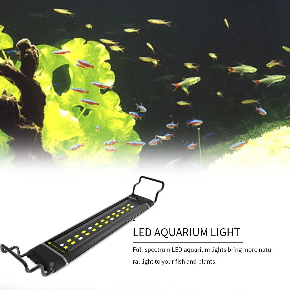 LEDs Aquarium Lighting Fish Tank Lamp Aquatic Plant Light Extensible Waterproof Clip On Lamp Grass Tank Dive Light
LEDs Aquarium Lighting Fish Tank Lamp Aquatic Plant Light Extensible Waterproof Clip On Lamp Grass Tank Dive Light