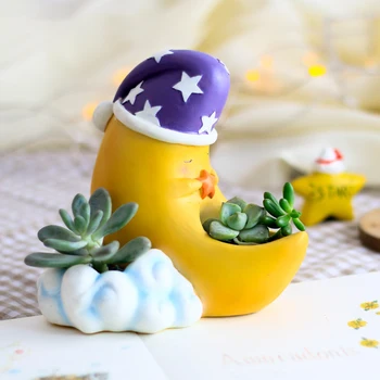 Warm-Room Succulent Plant Moon Resin Flowerpot Micro-landscape Bonsai with Office Green Plant Accessories Home Decorations
Warm-Room Succulent Plant Moon Resin Flowerpot Micro-landscape Bonsai with Office Green Plant Accessories Home Decorations
