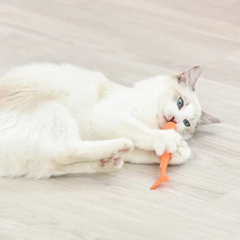 Soft Silicone Mint Fish Cat Toy Catnip Pet Toy Clean Teeth Toothbrush Chew Cats Toys Pet Cat Toothbrush Toy Fish Shape Catnip
Soft Silicone Mint Fish Cat Toy Catnip Pet Toy Clean Teeth Toothbrush Chew Cats Toys Pet Cat Toothbrush Toy Fish Shape Catnip