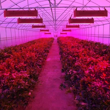 1000W LED Plant Grow Light Full Spectrum Dual-chip Growing Lights For Indoor Hydroponic Tent Flower Garden Vegs Seedling
1000W LED Plant Grow Light Full Spectrum Dual-chip Growing Lights For Indoor Hydroponic Tent Flower Garden Vegs Seedling