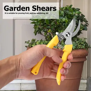 Garden Pruning Scissors Cutter Ergonomic Design for Comfortable Holding Grass Flower Shear Gardening Plant Grafting Tool
Garden Pruning Scissors Cutter Ergonomic Design for Comfortable Holding Grass Flower Shear Gardening Plant Grafting Tool